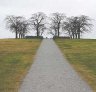 Farming Button at Denstone Hall